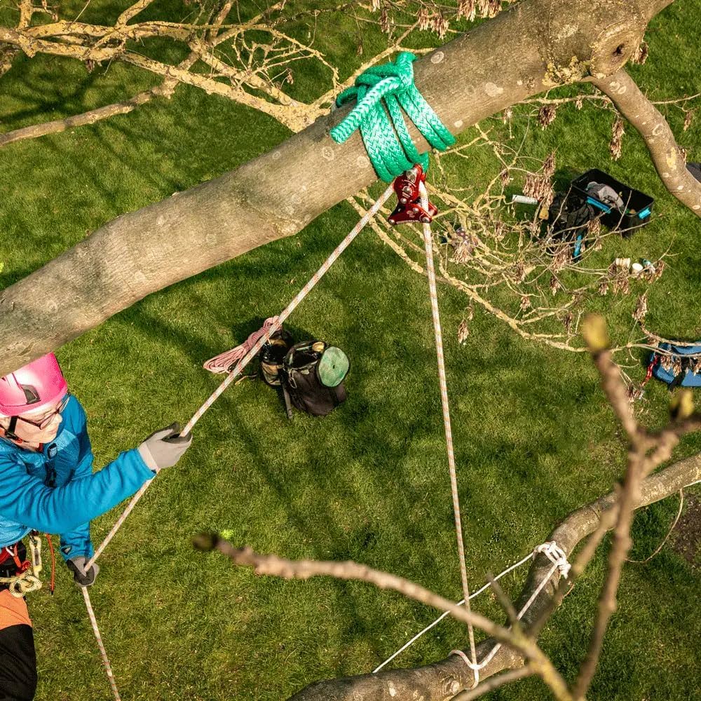 DMMピントリグプーリー アーボリスト ツリークライミング 造園 リギング DMM ピント リグ 2 プーリー | TREE CLIMBING WORLD